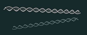DNA strand