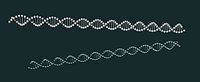 DNA strand