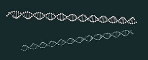 DNA strand