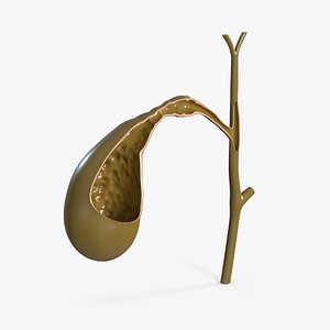 Gall Bladder Cut Plastic