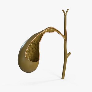 Gall Bladder Cut Plastic