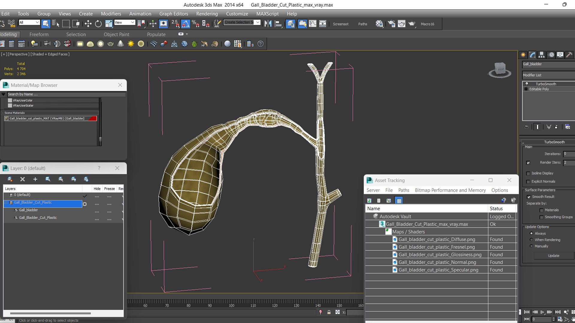 Gall Bladder Cut Plastic 3D Model - TurboSquid 2269826