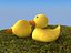 Rubber duck on grass