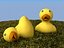 Rubber duck on grass