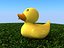 Rubber duck on grass