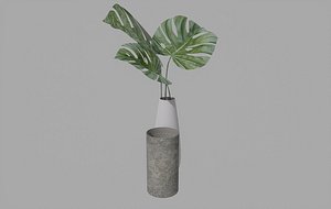 3D Model Vase - TurboSquid 1836202