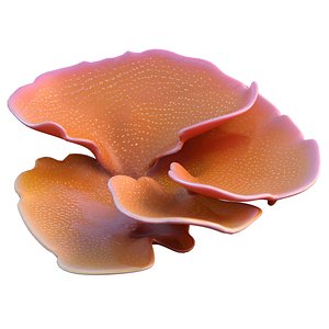 3D Coral reef 30