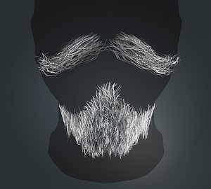 3D Beard RealTime 11 Version 1