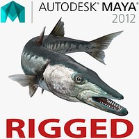 Barracuda Fish Rigged for Maya