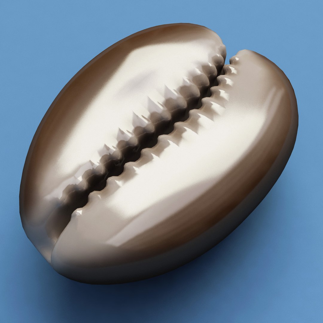 3d seashells sea shell model https://p.turbosquid.com/ts-thumb/SW/bZ88td/OFbPGQf4/seashells_collection_18/jpg/1270576440/1920x1080/fit_q87/cf3a104ab55a35605122b3fe4e716307cc10564a/seashells_collection_18.jpg
