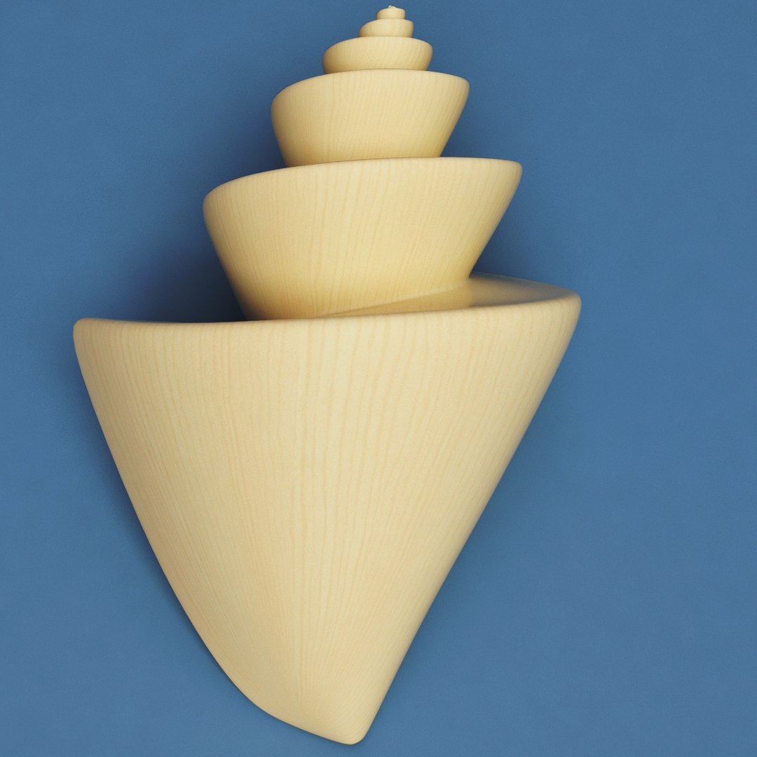 3d seashells sea shell model https://p.turbosquid.com/ts-thumb/SW/bZ88td/YyLJuYLW/seashells_collection_66/jpg/1270576449/1920x1080/fit_q87/0a48216547b686838b11e122c4a3082709d19096/seashells_collection_66.jpg