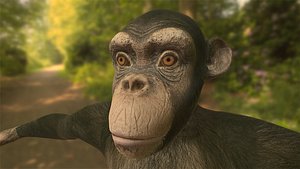 3d chimpanzee chimp model