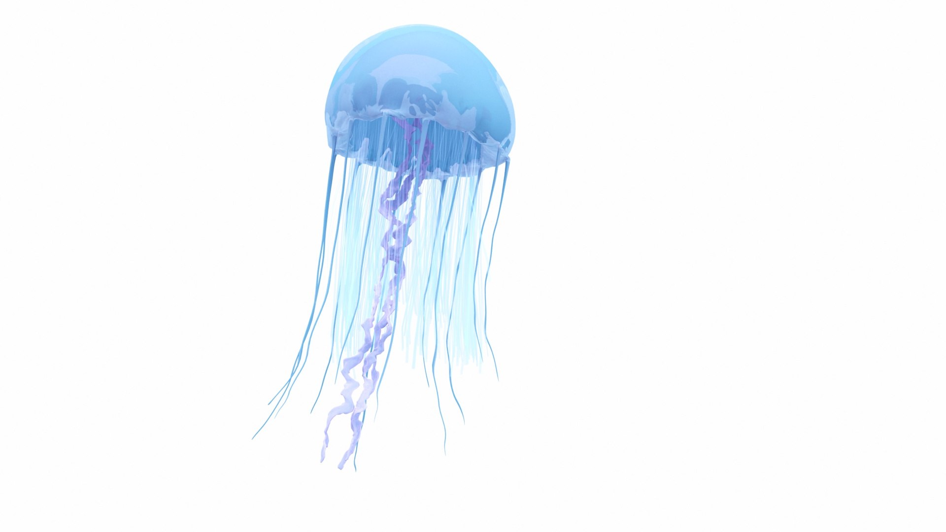 3D underwater animals 2 octopus https://p.turbosquid.com/ts-thumb/SW/piCzU3/1yYy1KJX/030073/jpg/1577126209/1920x1080/fit_q87/f23ca2b5bcae9cc42e17450a456bc766eb2a1fc1/030073.jpg