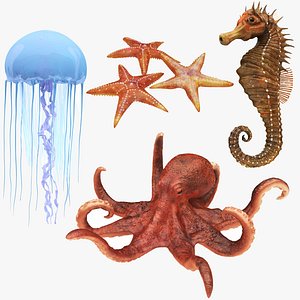 3D underwater animals 2 octopus