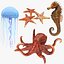 Colección de animales bajo el agua 2