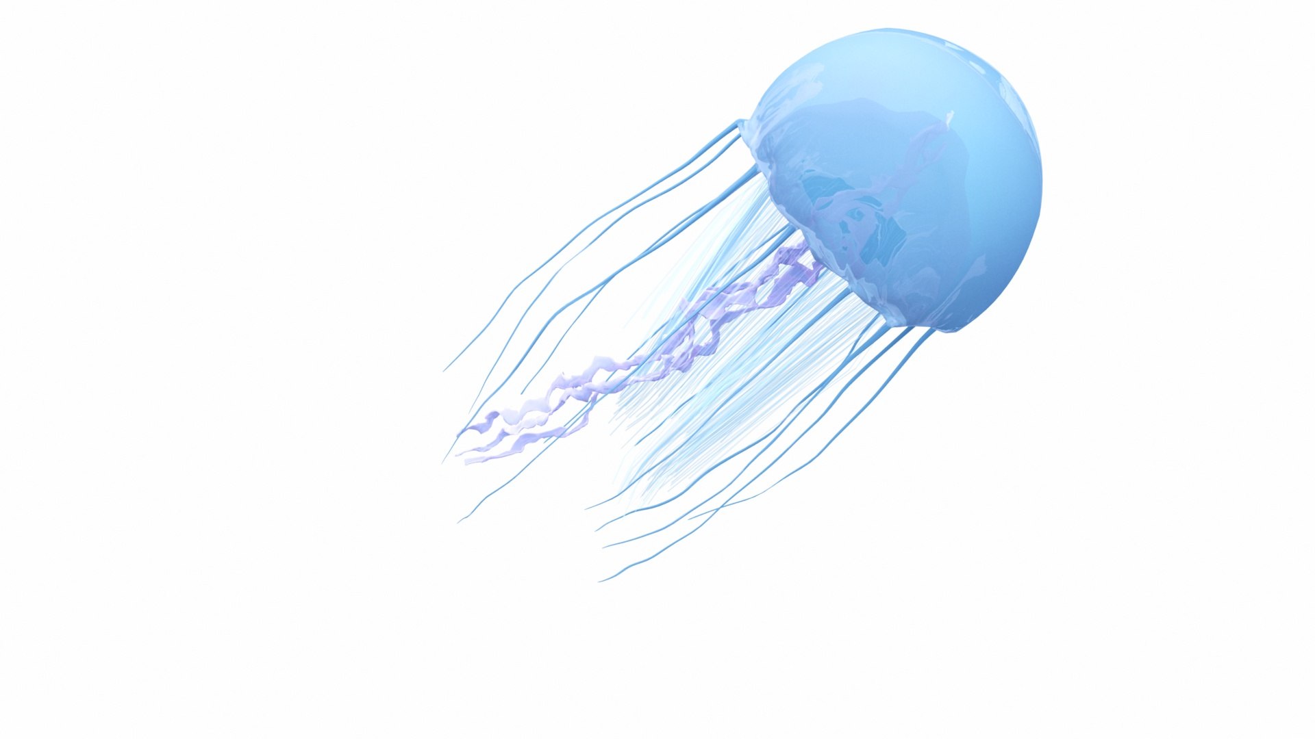 3D underwater animals 2 octopus https://p.turbosquid.com/ts-thumb/SW/piCzU3/M80jd7lo/050214/jpg/1577126209/1920x1080/fit_q87/80248b8f5be73de016cb2008305b20778668fc49/050214.jpg
