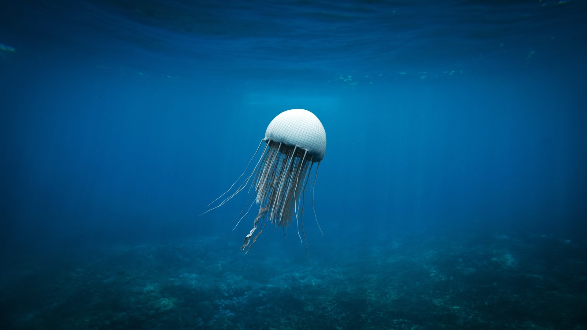3D underwater animals 2 octopus https://p.turbosquid.com/ts-thumb/SW/piCzU3/eCkV6vVy/w1/jpg/1577126209/1920x1080/fit_q87/c2d4e1d680c8041608d1e28c87cbc951a35f588b/w1.jpg