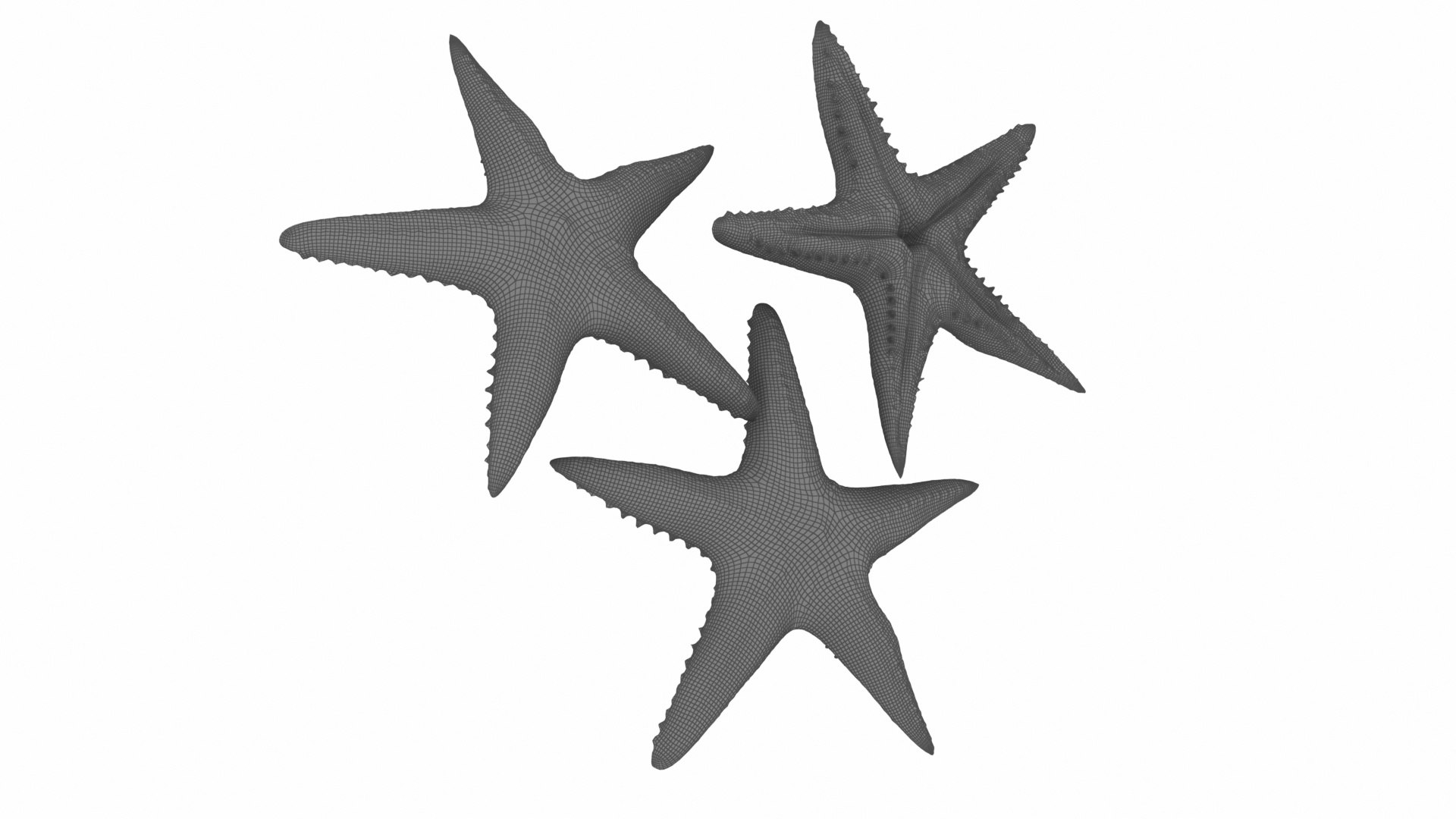 3D underwater animals 2 octopus https://p.turbosquid.com/ts-thumb/SW/piCzU3/yBOkjpzk/07/jpg/1577126156/1920x1080/fit_q87/a7a03022d567fea9829eaa9cf43ba3eb8cbc4ec7/07.jpg