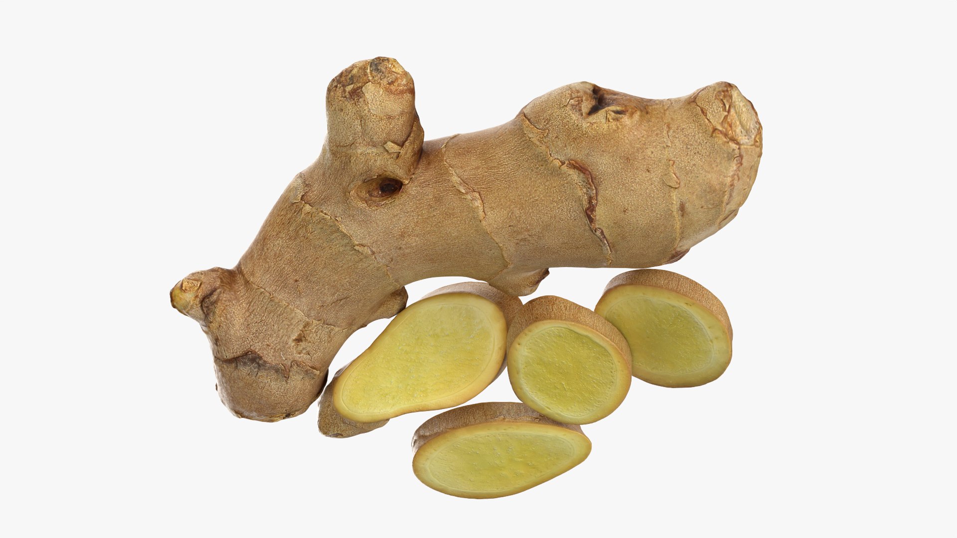 Fresh Ginger Root Slices 3 3D model https://p.turbosquid.com/ts-thumb/SW/ulHnoV/uR/model_0009/png/1776274799/1920x1080/fit_q87/8f9eddaba8583db34b282b830a3ee9cf2a4abcd2/model_0009.jpg