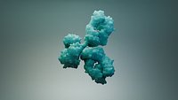 Human IgG Antibody
