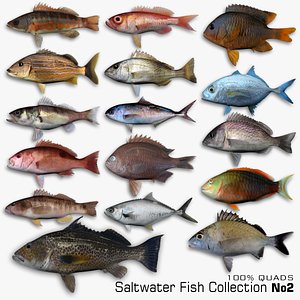 ma saltwater fish