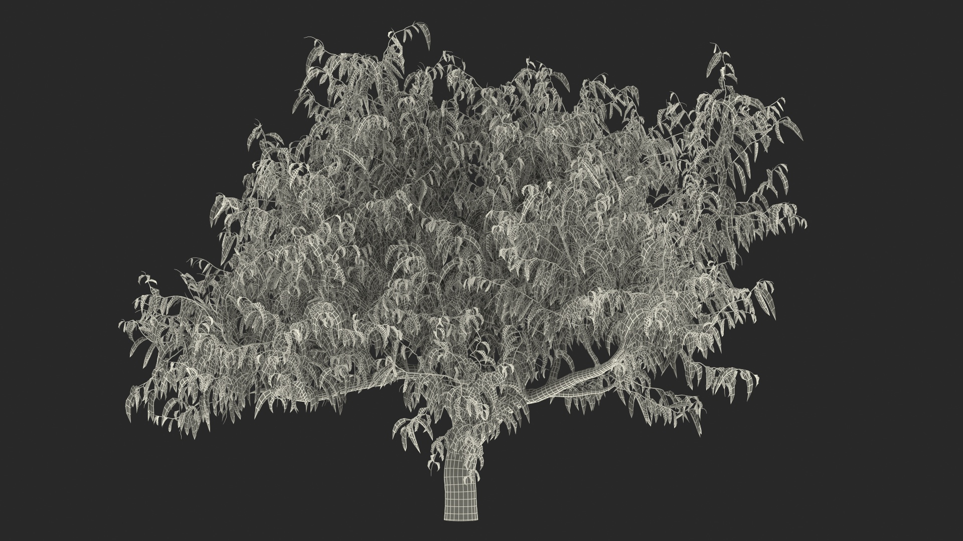peach tree prunus model https://p.turbosquid.com/ts-thumb/SX/8qvMRn/1Kl3DDXy/peach_tree_361/jpg/1582052500/1920x1080/turn_fit_q99/679a8172f43247c95044547dad1296a76292a89d/peach_tree_361-1.jpg