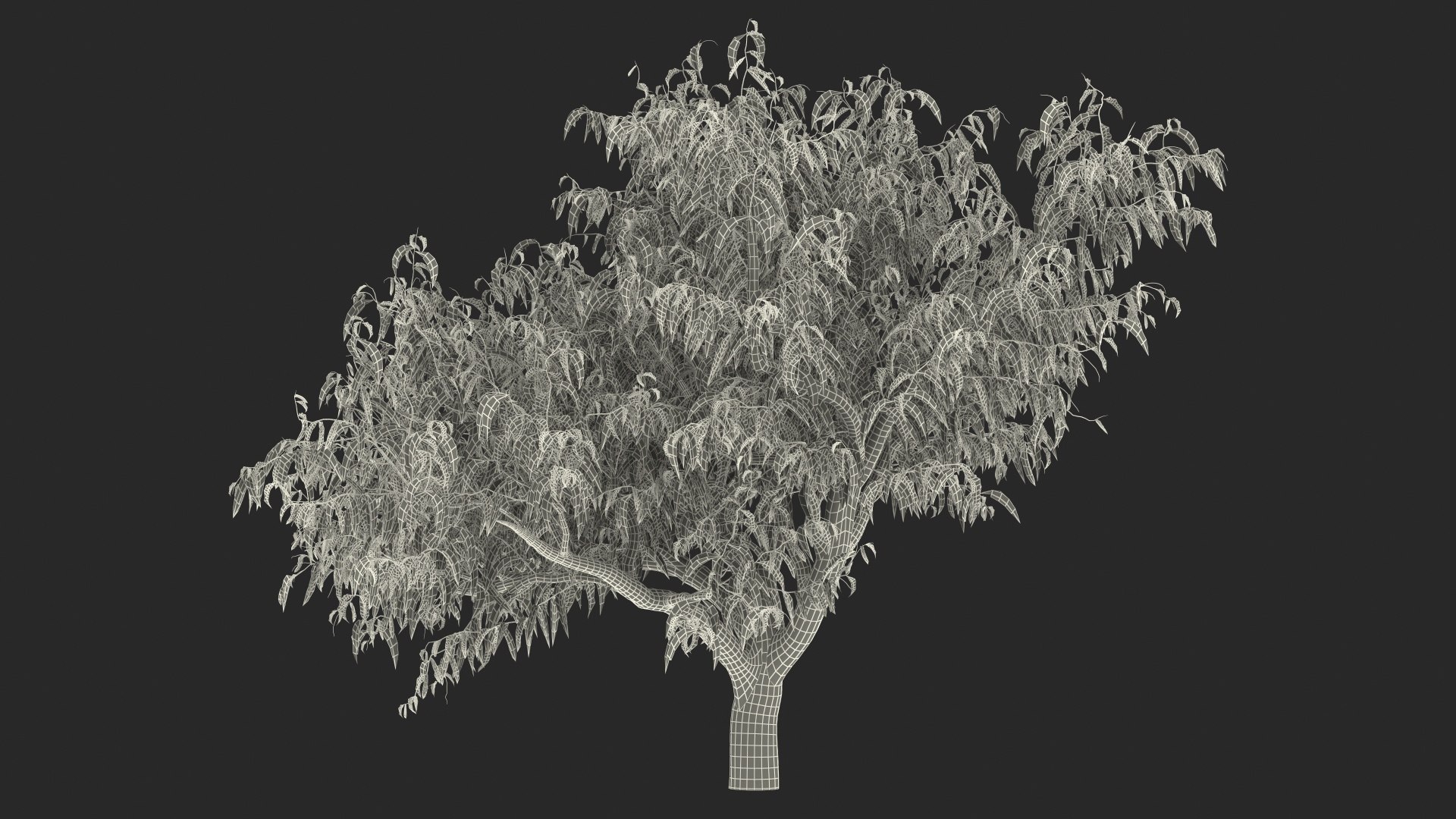 peach tree prunus model https://p.turbosquid.com/ts-thumb/SX/8qvMRn/1rIFhUJq/peachtreevray3dmodel022/jpg/1582053329/1920x1080/fit_q87/32193d2378eefd78373c1cf4c0a8859aec57500d/peachtreevray3dmodel022.jpg
