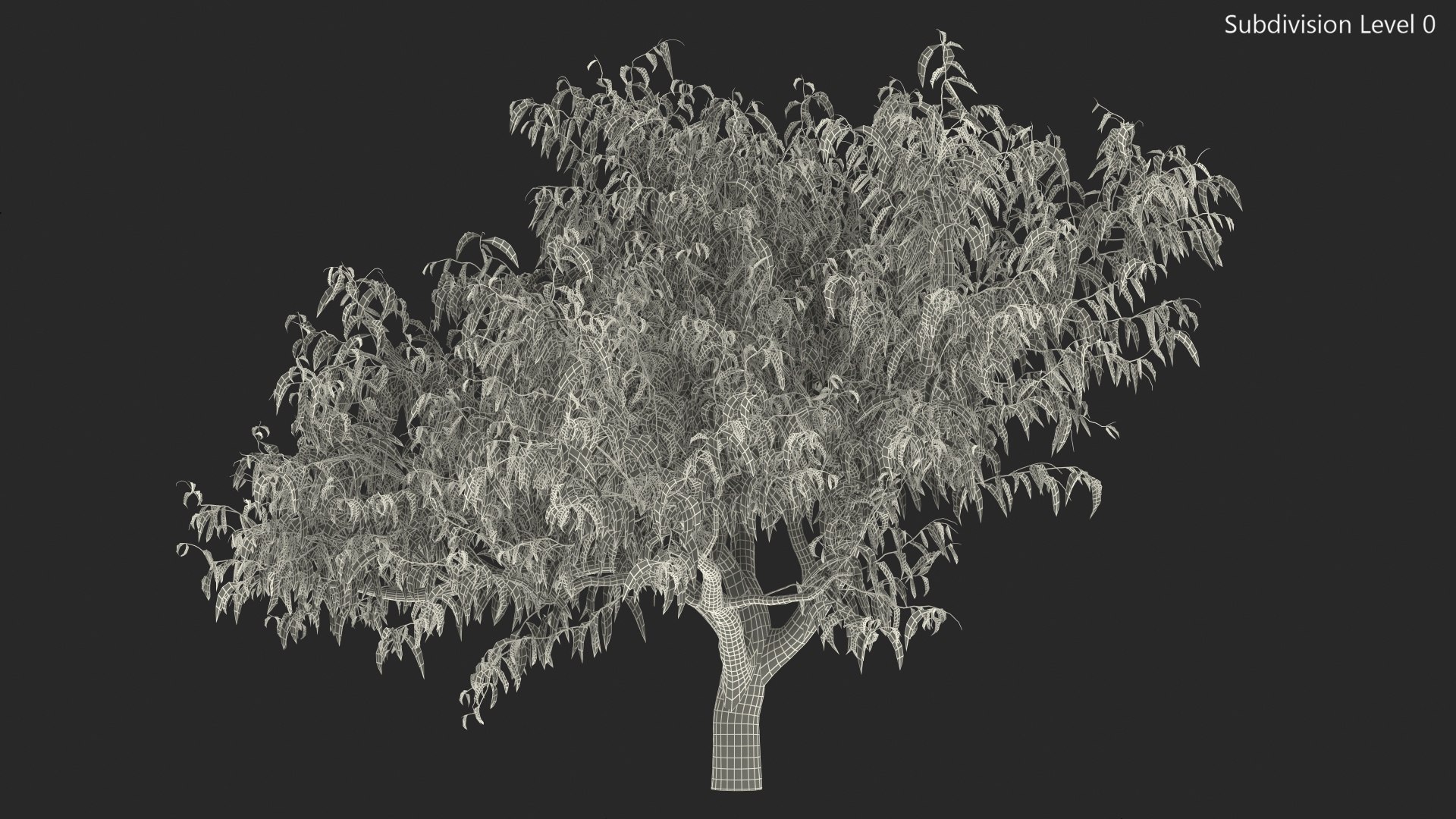 peach tree prunus model https://p.turbosquid.com/ts-thumb/SX/8qvMRn/4o3GCT9G/peachtreevray3dmodel015/jpg/1582053275/1920x1080/fit_q87/79d448541ce2764215da9808fd0ad3d0818515b2/peachtreevray3dmodel015.jpg