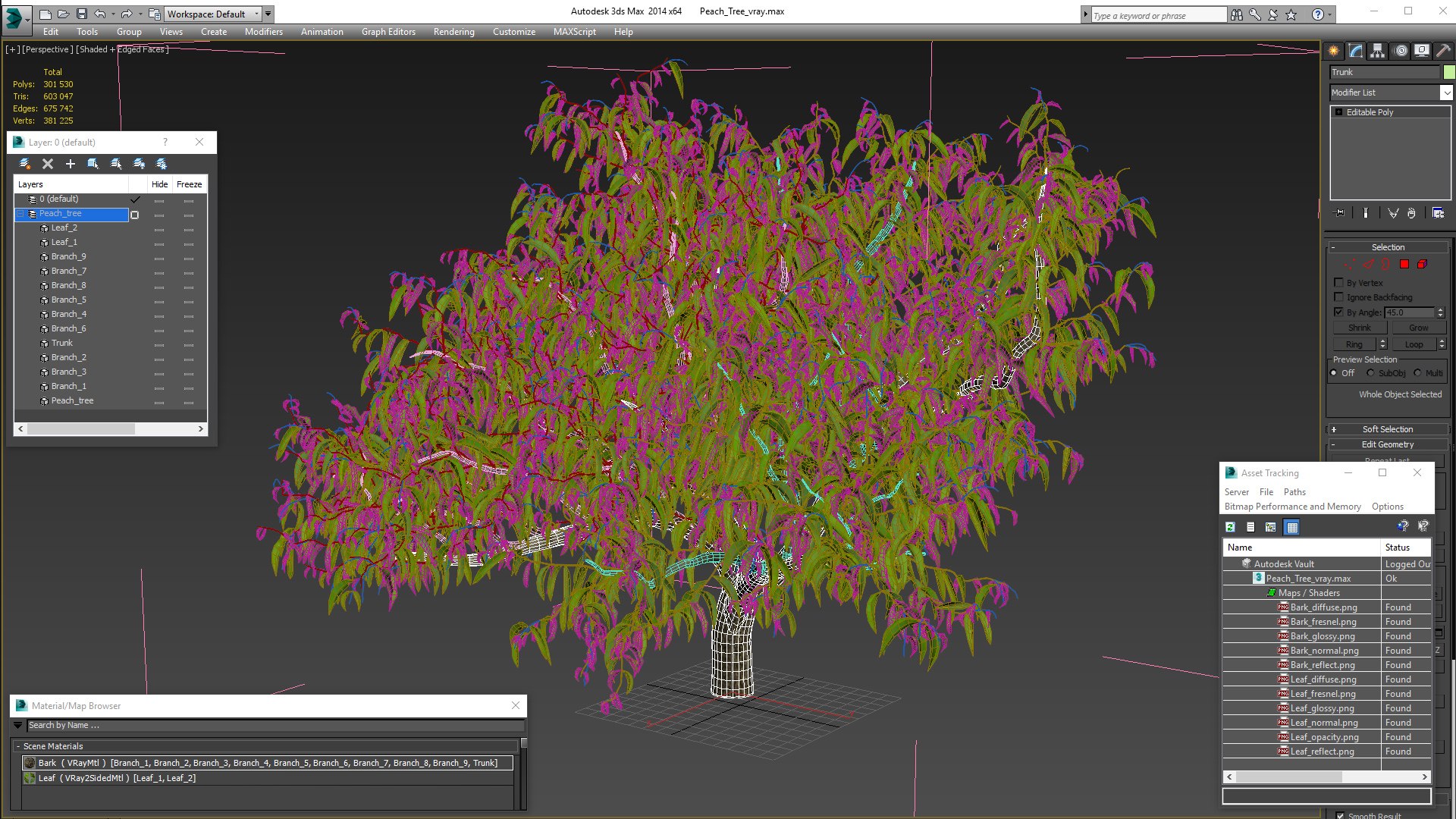 peach tree prunus model https://p.turbosquid.com/ts-thumb/SX/8qvMRn/UlYWAaFN/peachtreevray3dmodel021/jpg/1582053322/1920x1080/fit_q87/beb47d42bb1dd3167351aba3a86f07699b4453fa/peachtreevray3dmodel021.jpg