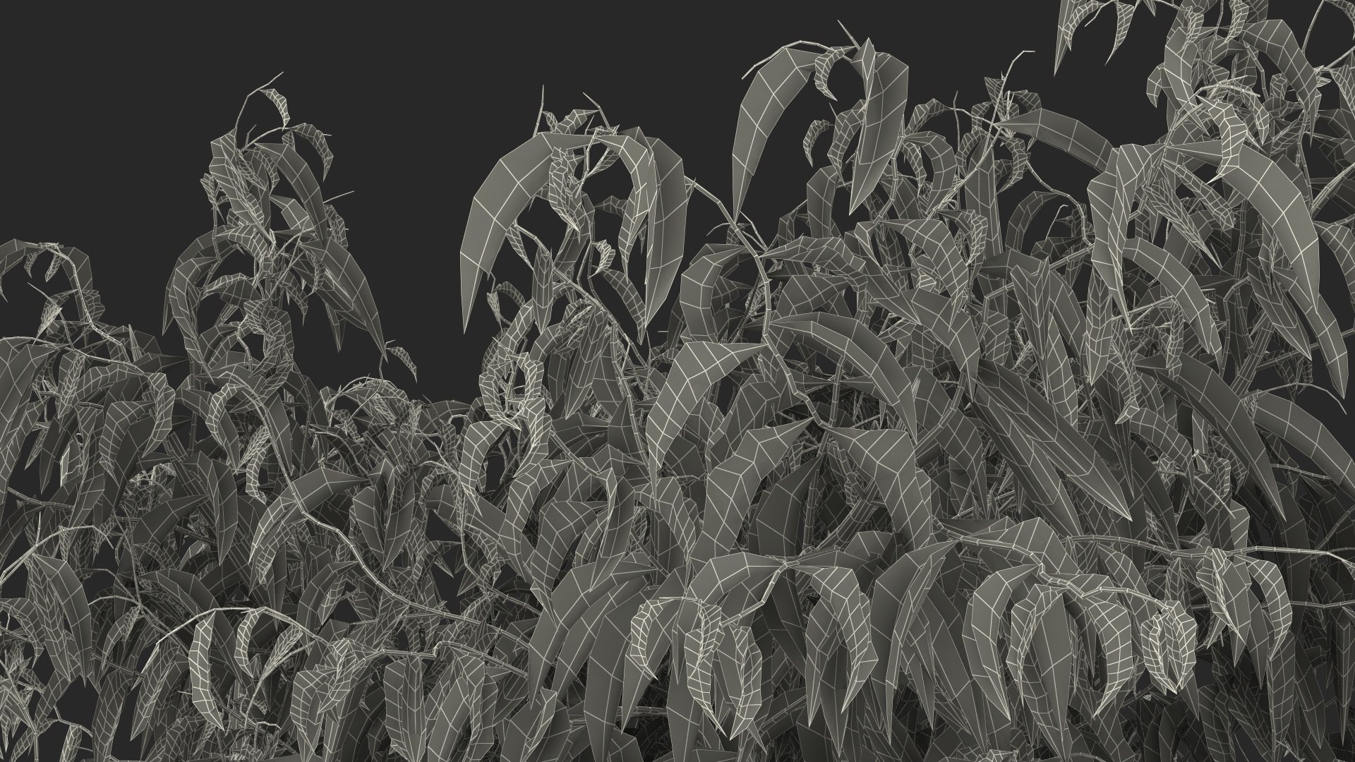 peach tree prunus model https://p.turbosquid.com/ts-thumb/SX/8qvMRn/ckkGkYMQ/peachtreevray3dmodel025/jpg/1582053352/1920x1080/fit_q87/a07a49dd10be00786cd923f6c5a2b787eebf4312/peachtreevray3dmodel025.jpg