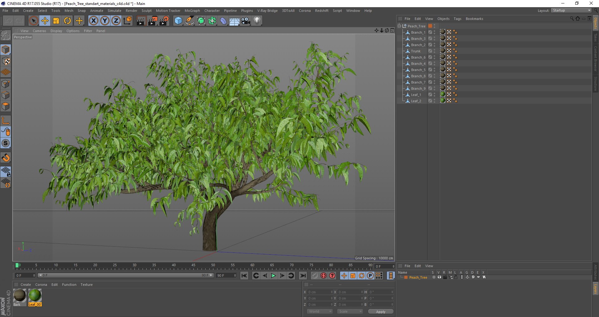 peach tree prunus model https://p.turbosquid.com/ts-thumb/SX/8qvMRn/qiIijwwT/peachtreevray3dmodel019/jpg/1582053308/1920x1080/fit_q87/59c7e2264d74d188c29793a41dbaf00b3c3a495c/peachtreevray3dmodel019.jpg