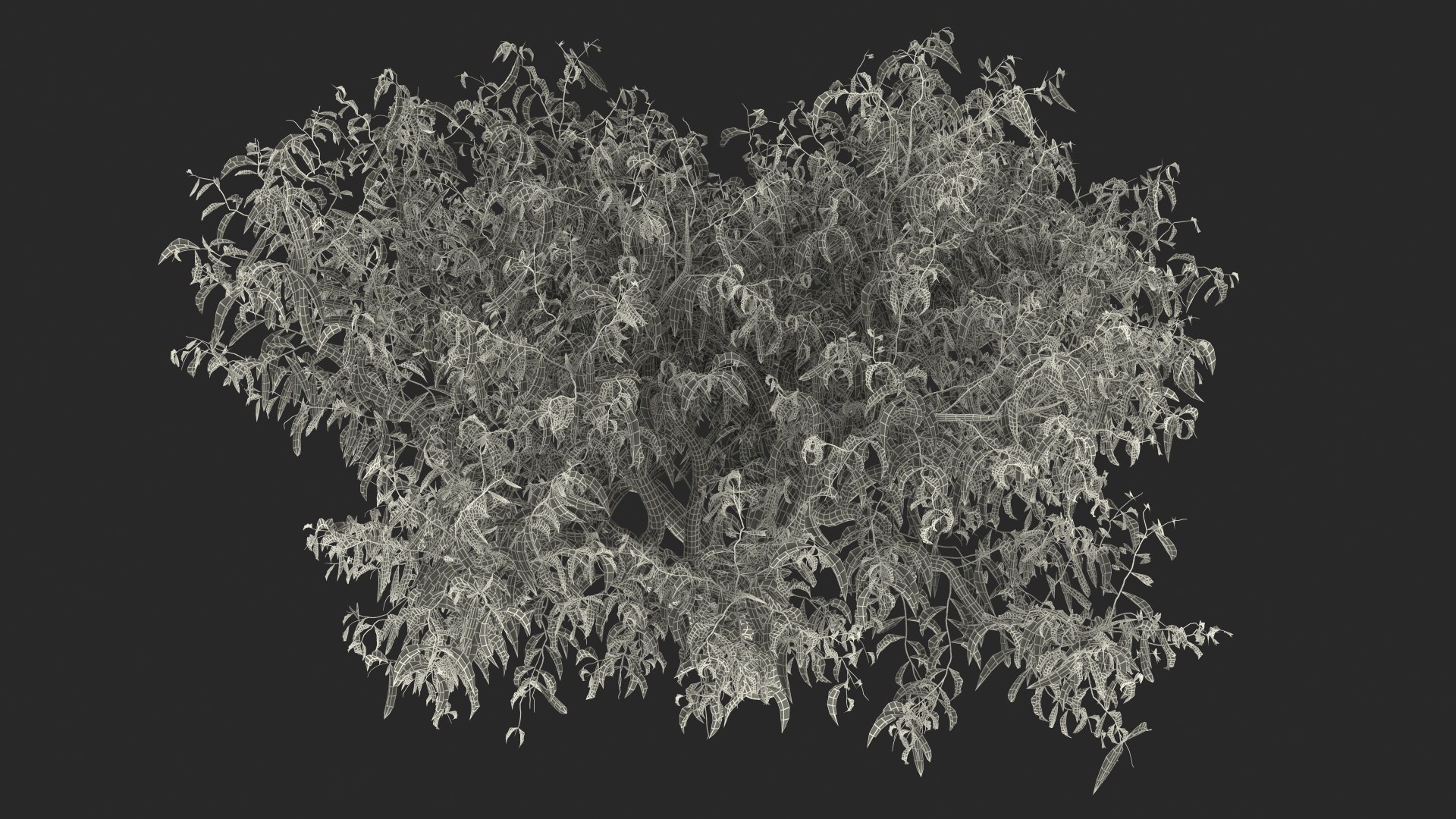 peach tree prunus model https://p.turbosquid.com/ts-thumb/SX/8qvMRn/qxF5NtP6/peachtreevray3dmodel023/jpg/1582053336/1920x1080/fit_q87/0d79fd82e4580ed2ebbcdf3952dc1e78256c0689/peachtreevray3dmodel023.jpg