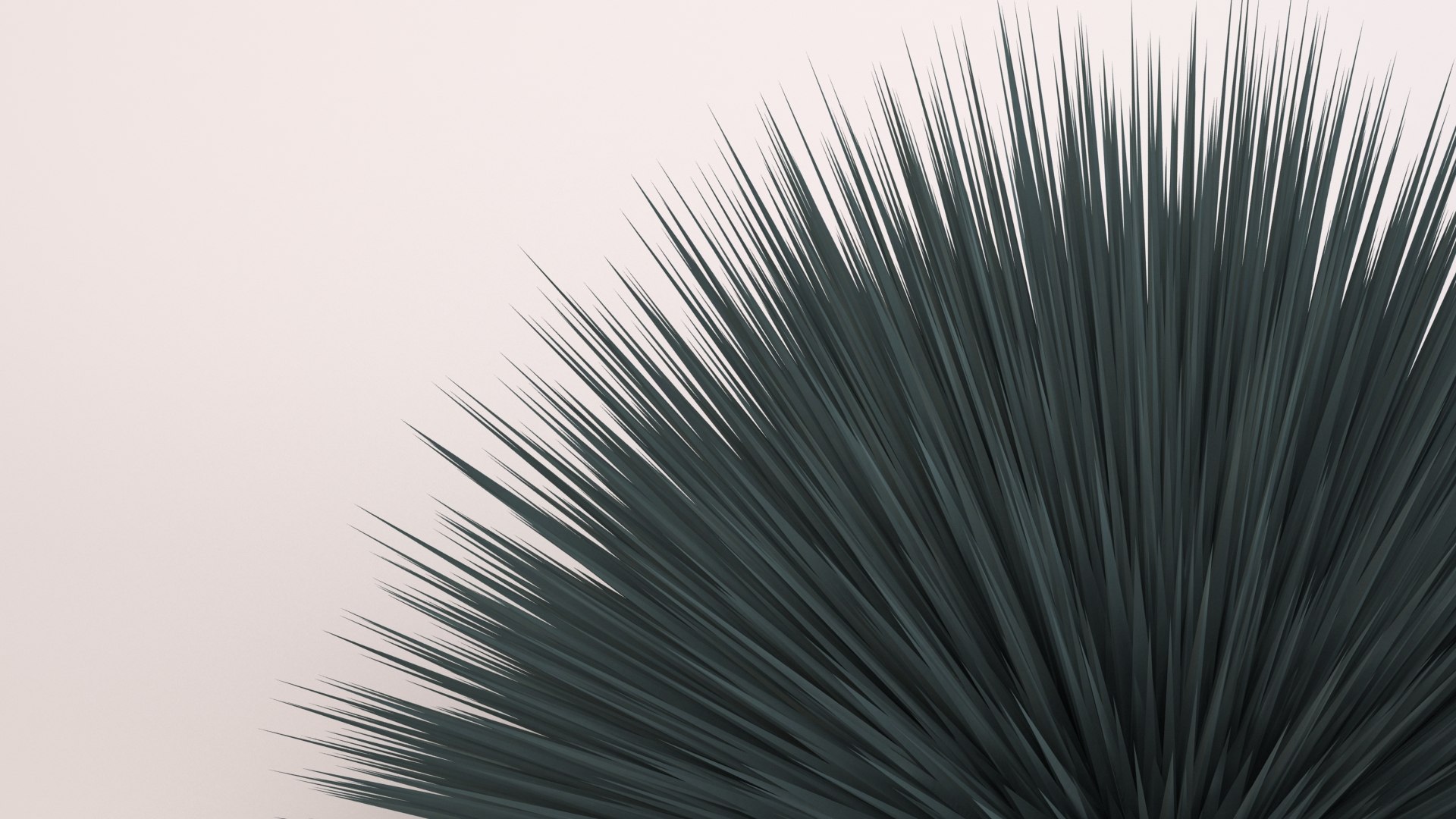 3D model mondo grass https://p.turbosquid.com/ts-thumb/SX/A0TyEY/VOCu5LSb/grassc3/jpg/1574574300/1920x1080/fit_q87/7b5721d042f57be55c07a8763121a2d488616f6e/grassc3.jpg