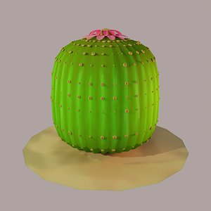 stylized cactus parodia magnifica 3D