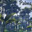 3D palms