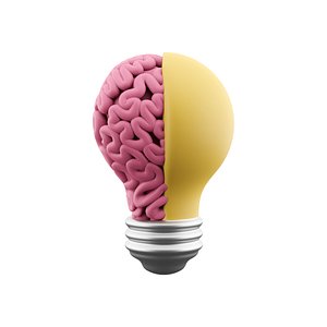 light bulb