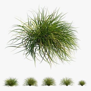 grass 03 3D