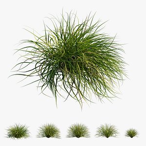 Grass collection 03