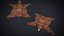 Bear Rug 2K