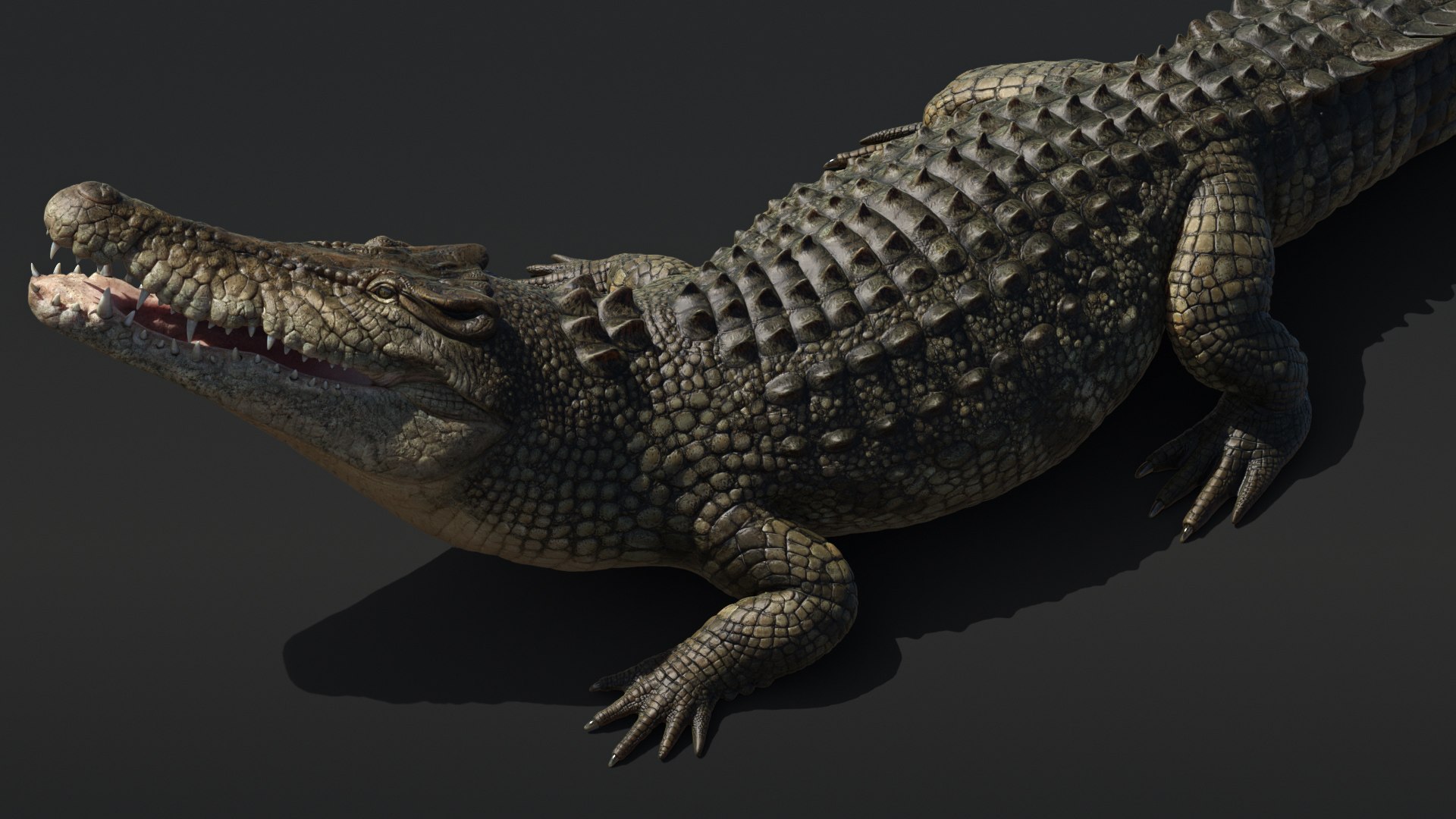 Saltwater Crocodile Animated model https://p.turbosquid.com/ts-thumb/SX/eY1LvM/7B/crocodile_00585/jpg/1674221189/1920x1080/fit_q87/dc87fb0d90a6396029d44a274fa71a3775f8b6cb/crocodile_00585.jpg