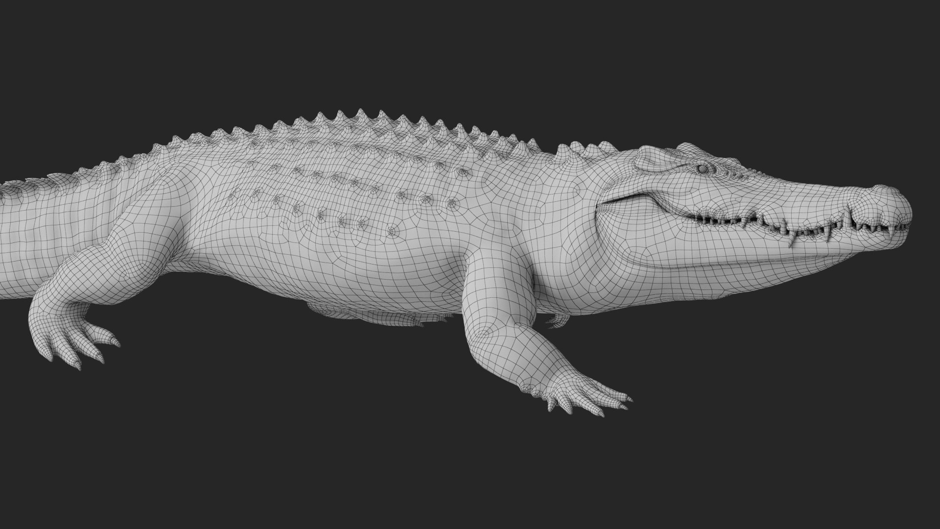 Saltwater Crocodile Animated model https://p.turbosquid.com/ts-thumb/SX/eY1LvM/CP/8crocodile_00602/jpg/1674221573/1920x1080/fit_q87/513e0b4ef77a702b3bb378a1115f4b7bef9580b9/8crocodile_00602.jpg