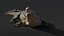 Saltwater Crocodile Animated