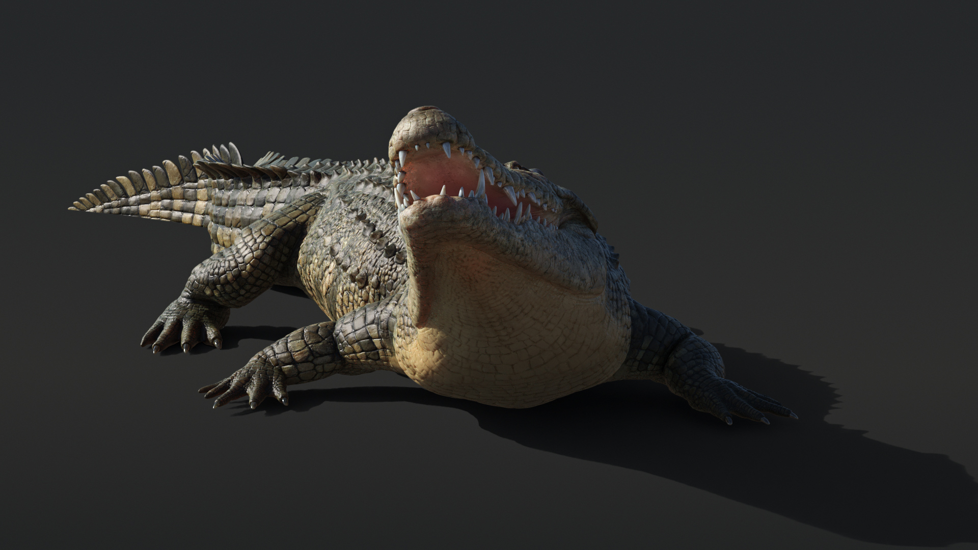 Saltwater Crocodile Animated model https://p.turbosquid.com/ts-thumb/SX/eY1LvM/E9/crocodile/jpg/1674219862/1920x1080/turn_fit_q99/e0846bfcb697b4ea6a9095278ed57c073ff3f3fd/crocodile-1.jpg
