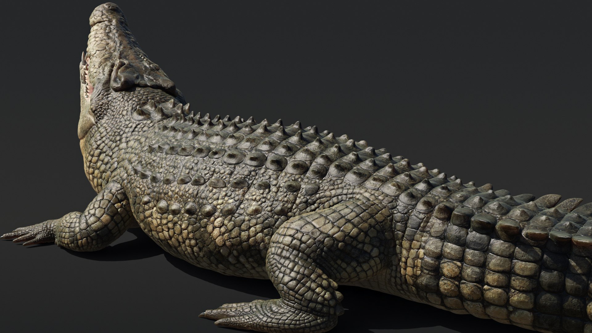 Saltwater Crocodile Animated model https://p.turbosquid.com/ts-thumb/SX/eY1LvM/I6/crocodile_00583/jpg/1674221189/1920x1080/fit_q87/b075ffd76c3d941faee4daa6778d154c71aa5e98/crocodile_00583.jpg