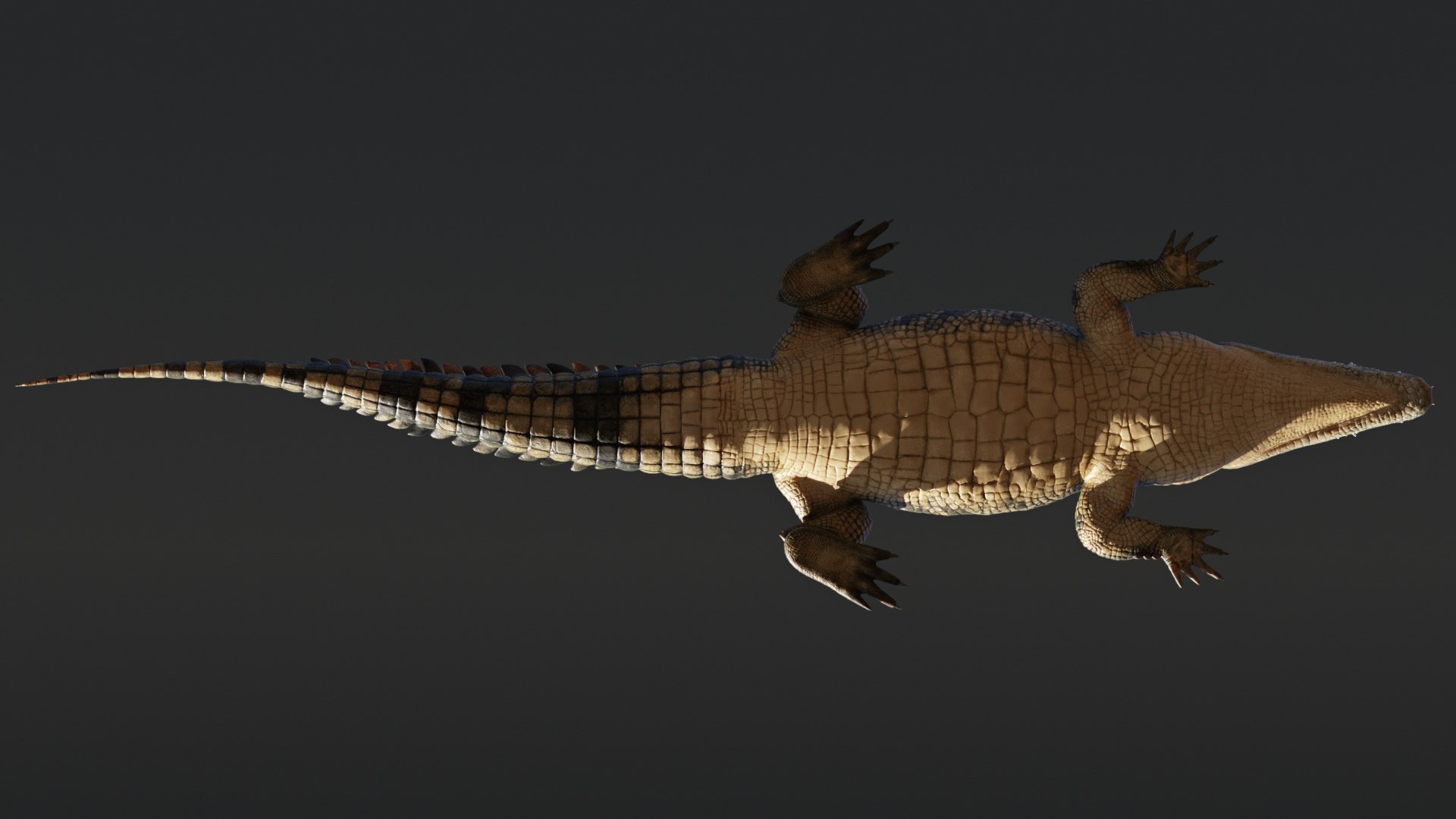 Saltwater Crocodile Animated model https://p.turbosquid.com/ts-thumb/SX/eY1LvM/IT/crocodile_00594/jpg/1674221195/1920x1080/fit_q87/8184b1f00b8b56b158aaa8e9928c0e5444e558e1/crocodile_00594.jpg