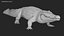 Saltwater Crocodile Animated