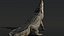 Saltwater Crocodile Animated
