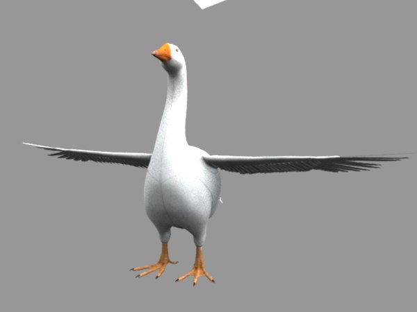 Goose 3D Models for Download | TurboSquid