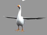 Goose