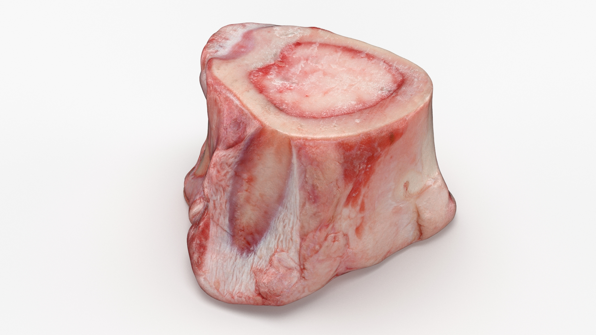 Marrow Bone 02 3D model https://p.turbosquid.com/ts-thumb/SX/nEwusc/2U/marrowbone02/jpg/1629652938/1920x1080/turn_fit_q99/030b8ef41c2f8188ac2a768d3e1c9b461139b9bb/marrowbone02-1.jpg